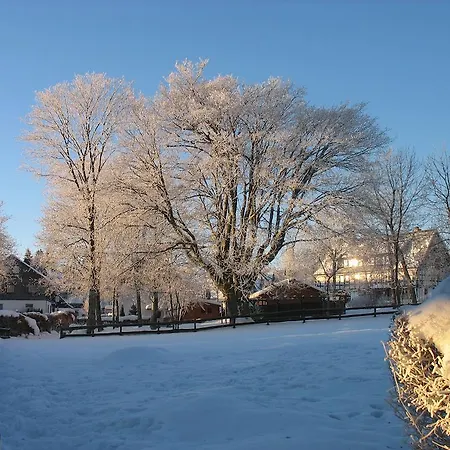 Apartmán Landgasthof Gilsbach *