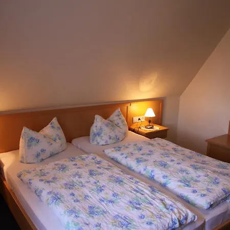 Landgasthof Gilsbach Apartmán Winterberg